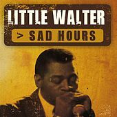 Thumbnail for the Little Walter - Sad Hours link, provided by host site