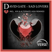 Image of David Gate linking to their artist page due to link from them being at the top of the main table on this page