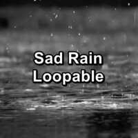 Thumbnail for the Nature Tribe - Sad Rain Loopable link, provided by host site