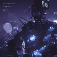 Thumbnail for the Squarepusher - Sad Robot Goes Funny link, provided by host site