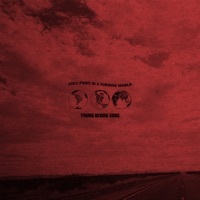 Thumbnail for the Young Rising Sons - Sadder link, provided by host site