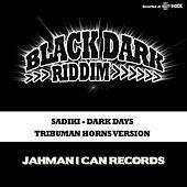 Thumbnail for the Sadiki - Sadiki (Dark Days) link, provided by host site