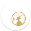 Image of Sierra Sam linking to their artist page due to link from them being at the top of the main table on this page