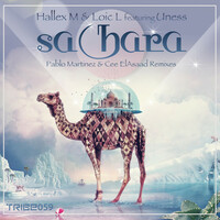 Thumbnail for the Hallex M - Sahara [Pablo Martinez & Cee ElAsaad Remixes] link, provided by host site