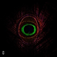 Thumbnail for the glue70 - Sahmbe link, provided by host site