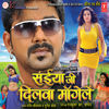 Thumbnail for the Rajesh Gupta - Saiyan Ji Dilwa Mangelein (Original Motion Picture Soundtrack) link, provided by host site
