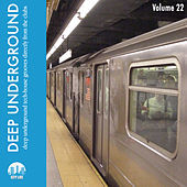 Thumbnail for the Autodeep - Sal Sin Pimienta (Know How Remix) link, provided by host site