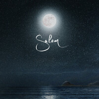 Thumbnail for the Diam's - Salam link, provided by host site