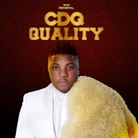 Thumbnail for the C.D.Q - Salaro link, provided by host site