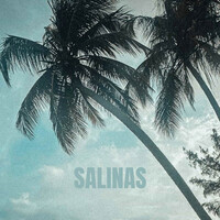 Thumbnail for the Beowülf - SALINAS link, provided by host site