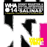 Thumbnail for the Digital Impression - Salinas link, provided by host site
