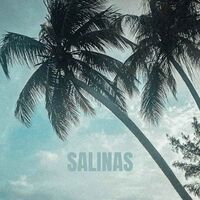 Thumbnail for the Beowülf - SALINAS link, provided by host site