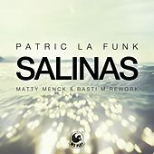 Thumbnail for the Patric La Funk - Salinas (Matty Menck & Basti M Rework) link, provided by host site