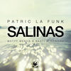 Thumbnail for the Patric La Funk - Salinas (Matty Menck & Basti M Rework) link, provided by host site