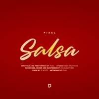 Thumbnail for the Pixel - Salsa link, provided by host site