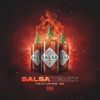 Thumbnail for the Niña Dioz - Salsa (Remix) link, provided by host site