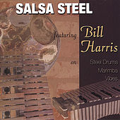 Thumbnail for the Bill Harris - Salsasteel link, provided by host site