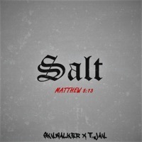 Thumbnail for the Skywalker - Salt link, provided by host site
