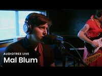 Thumbnail for the Mal Blum - Salt Flats | Audiotree Live link, provided by host site