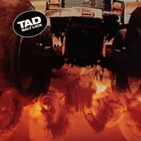 Thumbnail for the Tad - Salt Lick link, provided by host site