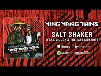 Thumbnail for the Ying Yang Twins - Salt Shaker link, provided by host site