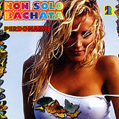 Thumbnail for the Latin Sound - Salta link, provided by host site
