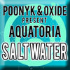 Thumbnail for the Poonyk - Saltwater link, provided by host site