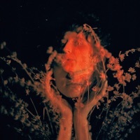 Thumbnail for the Royal & the Serpent - Salvador Dali link, provided by host site