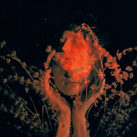 Thumbnail for the Royal & the Serpent - Salvador Dali link, provided by host site