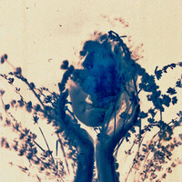 Thumbnail for the Royal & the Serpent - Salvador Dali (Fla.mingo Remix) link, provided by host site