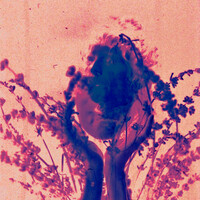 Thumbnail for the Royal & the Serpent - salvador dali (frumhere remix) link, provided by host site