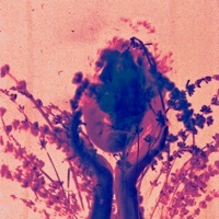 Thumbnail for the Royal & the Serpent - Salvador Dali (Frumhere Remix) link, provided by host site