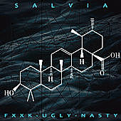 Thumbnail for the Fun. - Salvia link, provided by host site