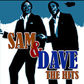 Thumbnail for the Sam and Dave - Sam And Dave - The Hits link, provided by host site