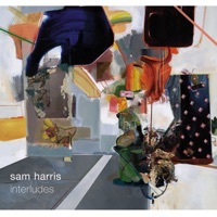 Thumbnail for the Sam Harris - Sam Harris. Interludes link, provided by host site