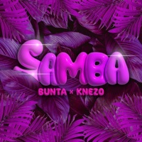 Thumbnail for the BUNTA - Samba link, provided by host site