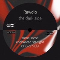 Thumbnail for the Rawdio - Same Same link, provided by host site
