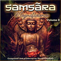 Thumbnail for the David Thomas - Samsãra 'Magnificience', Vol. 8 link, provided by host site
