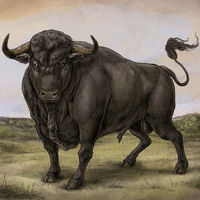 Thumbnail for the San Fermin - San Fermin link, provided by host site