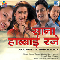 Thumbnail for the Zubeen Garg - Sana Habbai Roje (Original) link, provided by host site