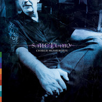 Thumbnail for the Charlie Musselwhite - Sanctuary link, provided by host site
