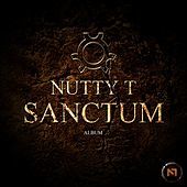 Thumbnail for the Nutty T - Sanctum link, provided by host site