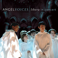 Thumbnail for the Robert Prizeman - Sanctus (based on Canon by Pachelbel) link, provided by host site