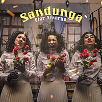 Thumbnail for the Flor Amargo - Sandunga link, provided by host site