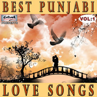 Thumbnail for the Surjit Bindrakhia - Sang Sang Ke link, provided by host site