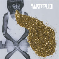 Thumbnail for the Santigold - Santigold link, provided by host site