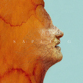 Thumbnail for the Foy Vance - Sapling (Jonasu Remix) link, provided by host site