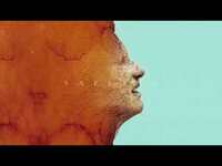 Thumbnail for the Foy Vance - Sapling (Jonasu Remix) link, provided by host site