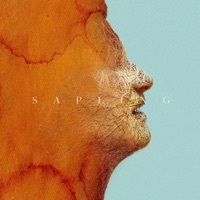 Thumbnail for the Foy Vance - Sapling [Jonasu Remix] link, provided by host site