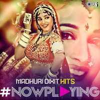 Thumbnail for the Kavita Krishnamurthy - Sare Ladkon Ki (From "Deewana Mujh Sa Nahin") link, provided by host site